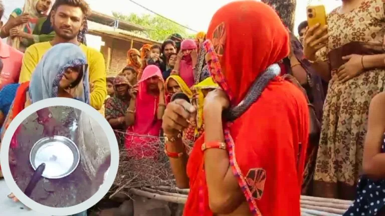 घर में घुसा कोबरा सांप, महिला गले में डालकर बोली- ये मेरा बेटा है, फिर हुआ ये सब NewsTak