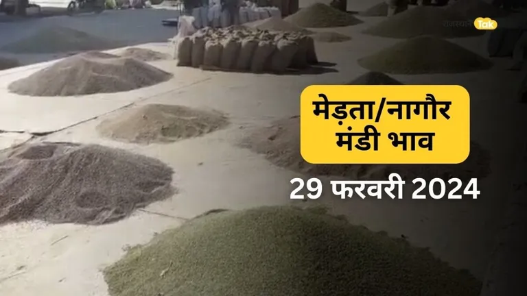 मेड़ता मंडी भाव 29 Feb 2024: जीरे के भाव में गिरावट जारी, जानें मूंग, ग्वार, ज्वार, बाजरा, इसबगोल और मोठ का रेट मेड़ता मंडी भाव 29 Feb 2024: जीरे के भाव में तेजी, जानें मूंग, ग्वार, ज्वार, बाजरा, इसबगोल और मोठ का रेट