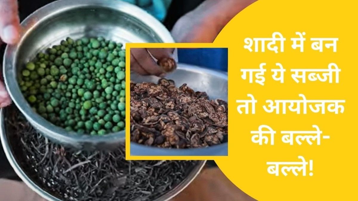 Rajasthan: राजस्थान के गावों में बनती है भारत की सबसे महंगी सब्जी, फाइव स्टार होटल तक होती है डिमांड NewsTak