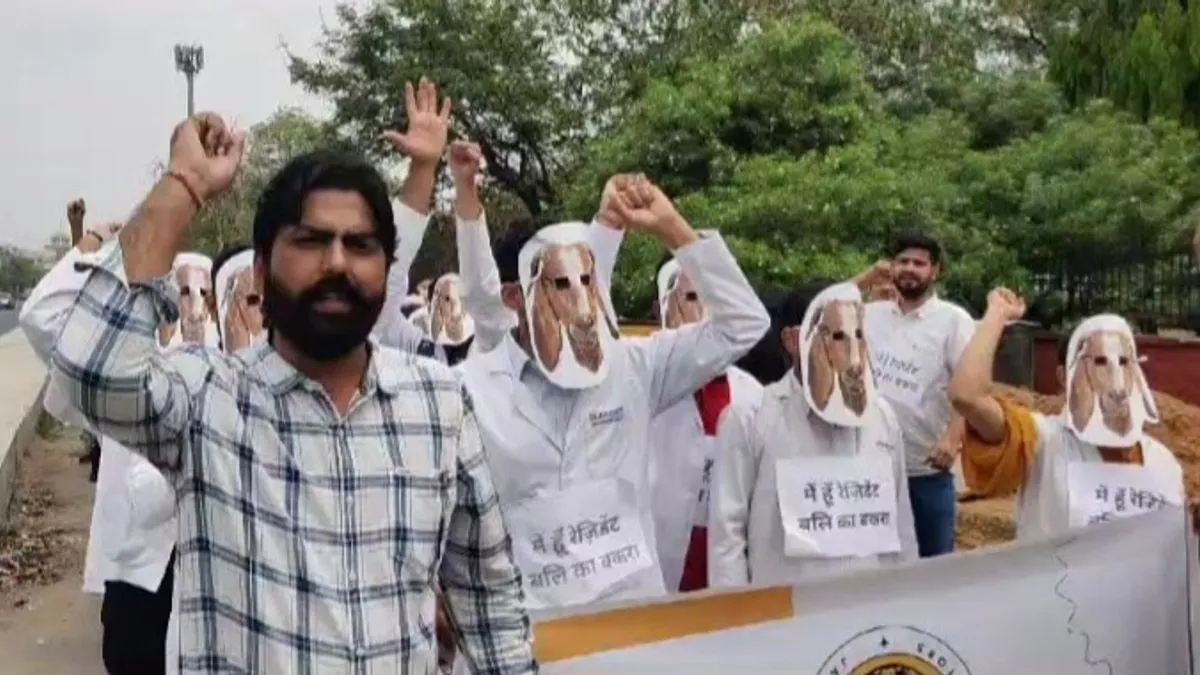 Jaipur: मुंह पर बकरे का मुखौटा लगाकर सड़क पर उतर गए रेजिडेंट डॉक्टर, जानें वजह NewsTak