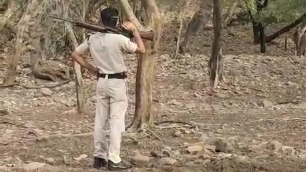 रणथंभौर: पेट्रोलिंग के दौरान टाइगर के सामने राइफल तानकर खड़ा हो गया होमगार्ड, वनकर्मी-पर्यटक रह गए हैरान! NewsTak