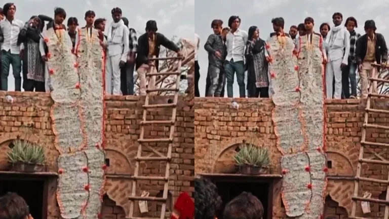 भरतपुर: दो दूल्हों को पहनाई 51 लाख रुपए की माला, वीडियो हुआ वायरल भरतपुर: दो दूल्हे को को पहनाई 51 लाख रुपए की माला, वीडियो हुआ वायरल
