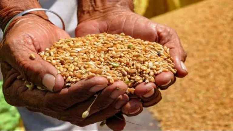 राजस्थान के लोगों को 30 June के बाद नहीं मिलेगा राशन, अगर पूरा नहीं किया ये काम NewsTak