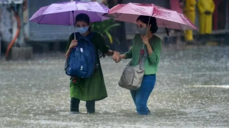 Rajasthan Weather: अलवर-दौसा समेत इन जिलों में बढ़ेगी बारिश, IMD ने जोधपुर संभाग के लिए दिया बड़ा अपडेट NewsTak