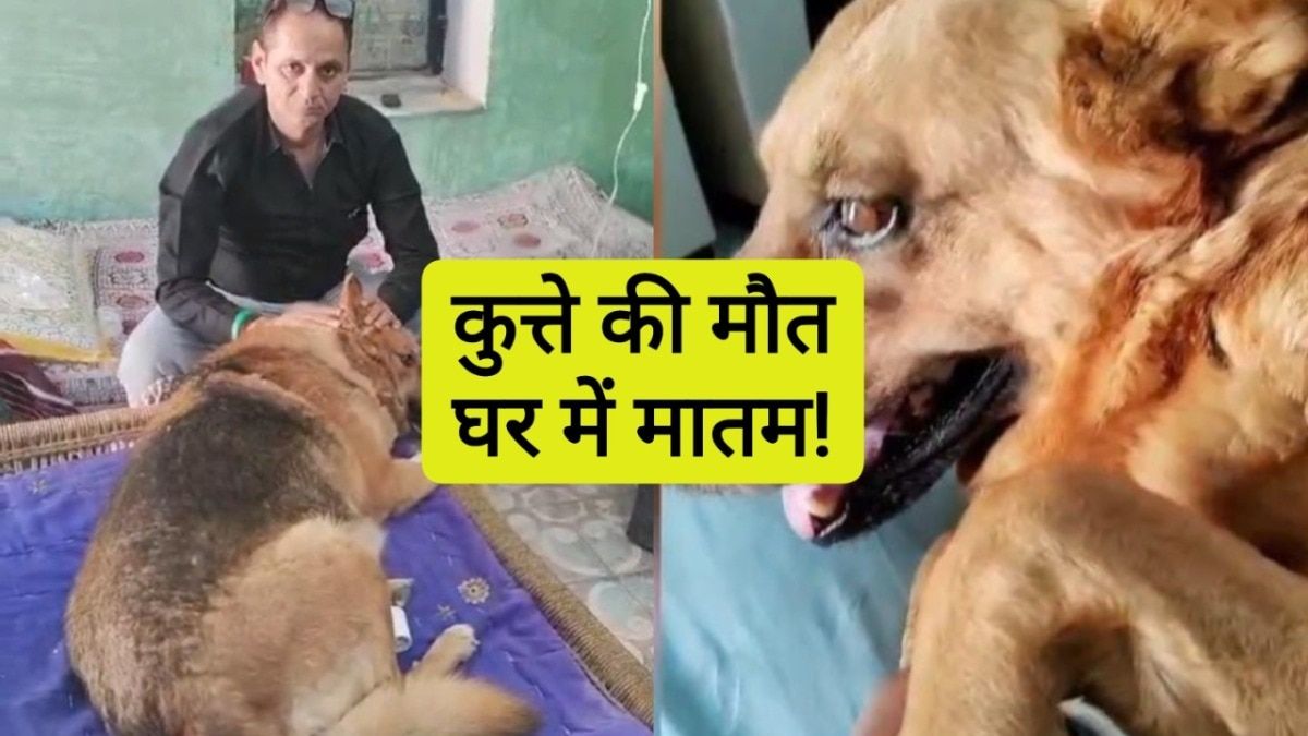 Rajasthan: कुत्ते की मौत के बाद मालिक ने अखबार में दिया तीये की बैठक का ऐड, 2 दिन से घर में नहीं बना खाना, AC में रहता था मींकू Churu