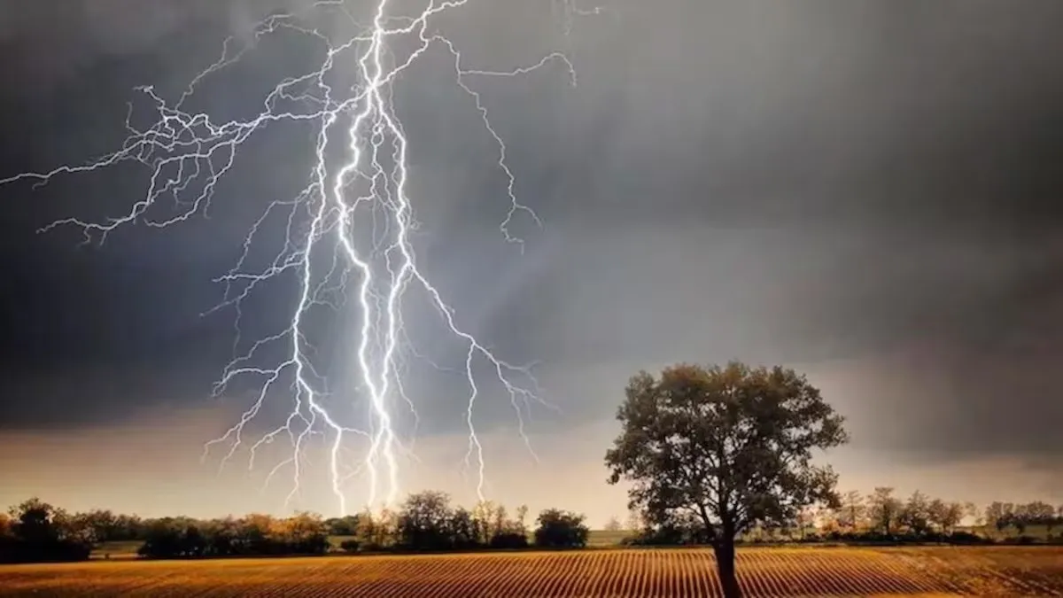 NewsTak