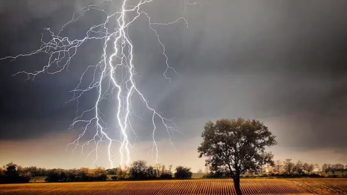 जयपुर, दौसा, अलवर, कोटा, भरतपुर और उदयपुर में वज्रपात की चेतावनी, जानें मौसम विभाग का नया अलर्ट NewsTak