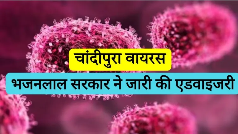 राजस्थान में चांदीपुरा वायरस का केस आने के बाद मचा हड़कंप, चिकित्सा विभाग ने जारी की नई एडवाइजरी Chandipura virus