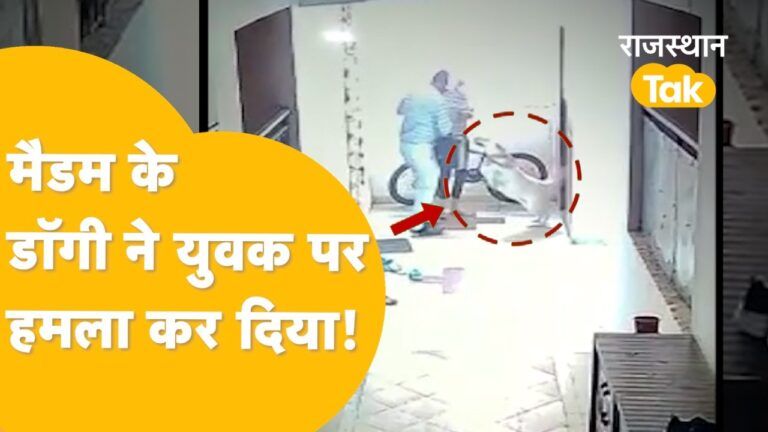 अलवर: लिफ्ट के बाहर 12 साल की बच्ची पर कुत्ते ने झपट्टा मार किया जख्मी Video Thumbnail