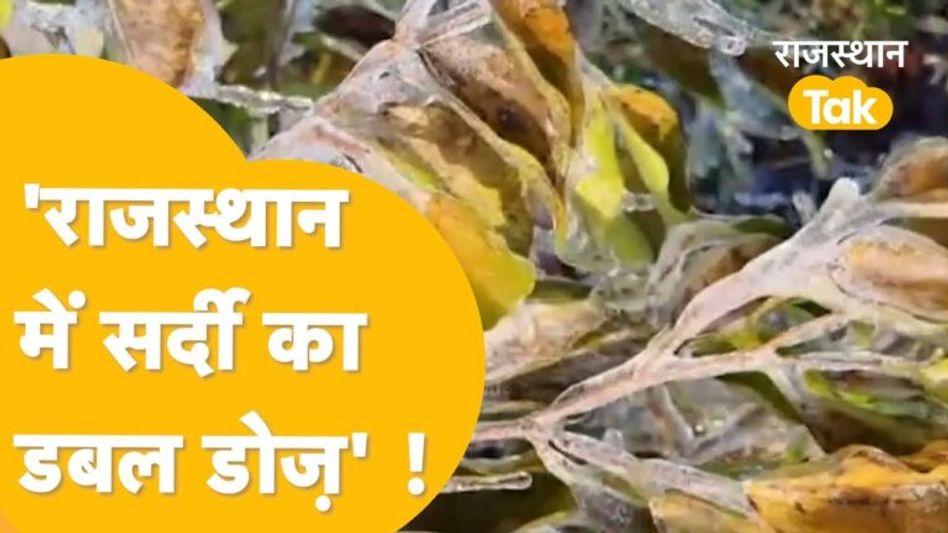 Rajasthan weather: राजस्थान में ठंड ने बढ़ाई कंपकंपी, मौसम विभाग ने जारी किया अलर्ट Video Thumbnail