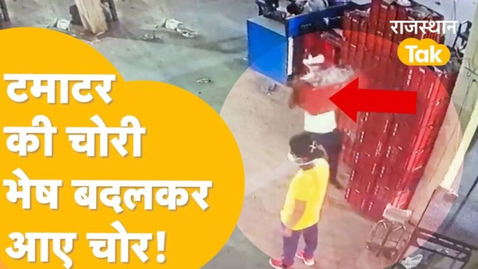 अब टमाटर की रखवाली के लिए भी लगाने पड़ेंगे गॉर्ड, मुहाना मंडी में टमाटर की चोरी! Video Thumbnail
