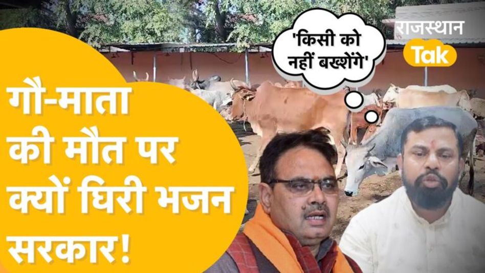 Kota: गौशाला में क्यों तड़प-तपड़कर दम तोड़ रही हैं गाय, ‘सरकार ले जिम्मेदारी’! – T Raja Singh Video Thumbnail