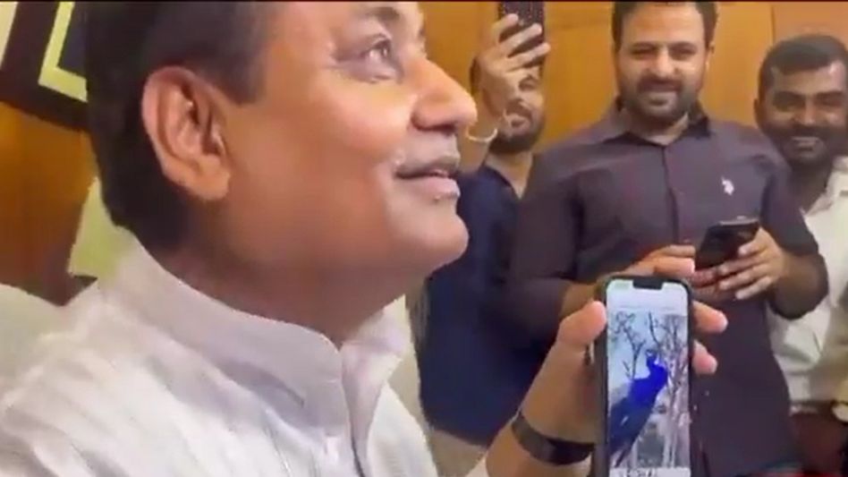 चुनाव के परिणाम के बाद मोबाइल में मोर की आवाज सुनाने लगे डोटासरा, इस खास अंदाज में बीजेपी पर कसा तंज Video Thumbnail