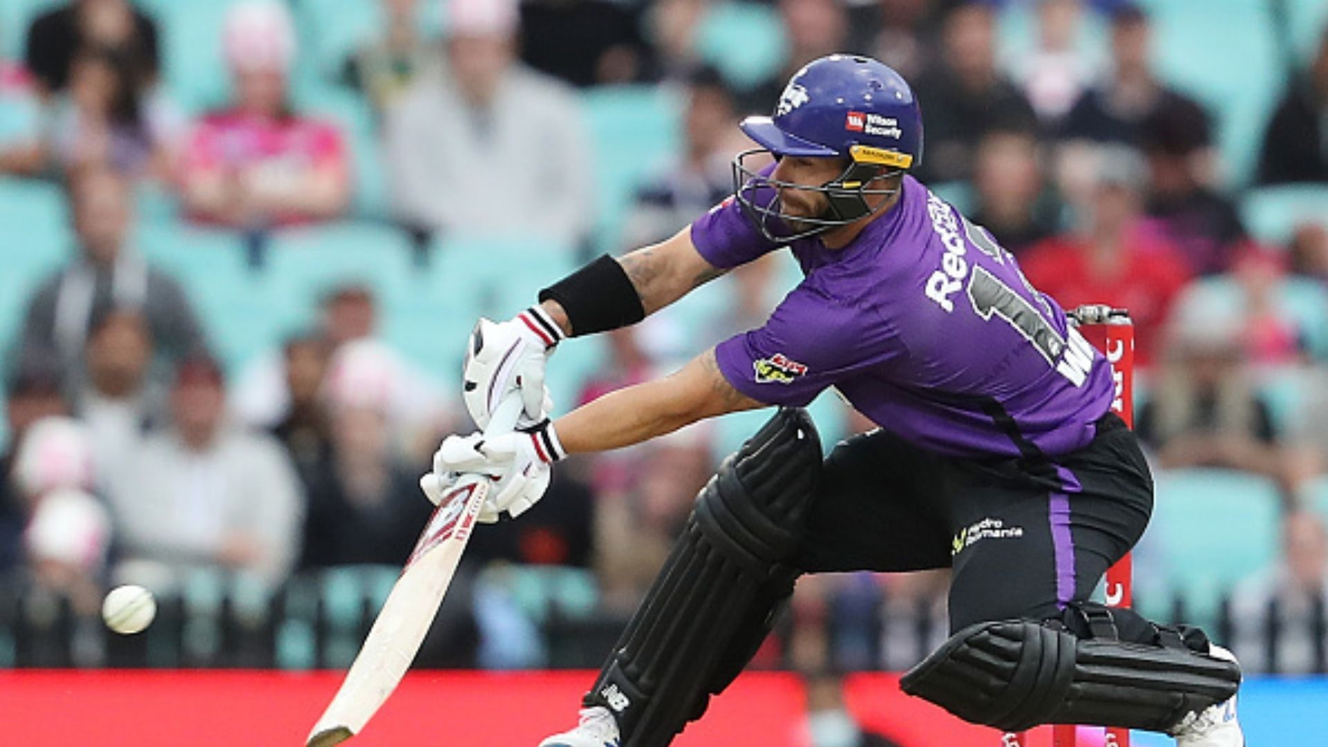 सिडनी में आया बवंडर, '14 गेंदों में 66 रन' ठोक इस बल्लेबाज ने चैंपियन टीम को दी मात