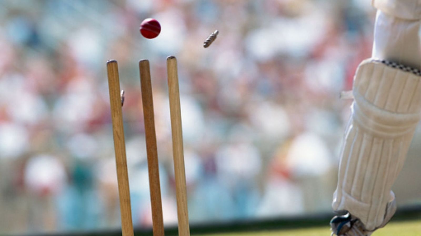 एक हफ्ते पहले किया डेब्यू, अपने दूसरे ही मैच में 18 साल के गेंदबाज का कत्लेआम, विकेटों की लगा दी लाइन एक हफ्ते पहले किया डेब्यू, अपने दूसरे ही मैच में 18 साल के गेंदबाज का कत्लेआम, विकेटों की लगा दी लाइन