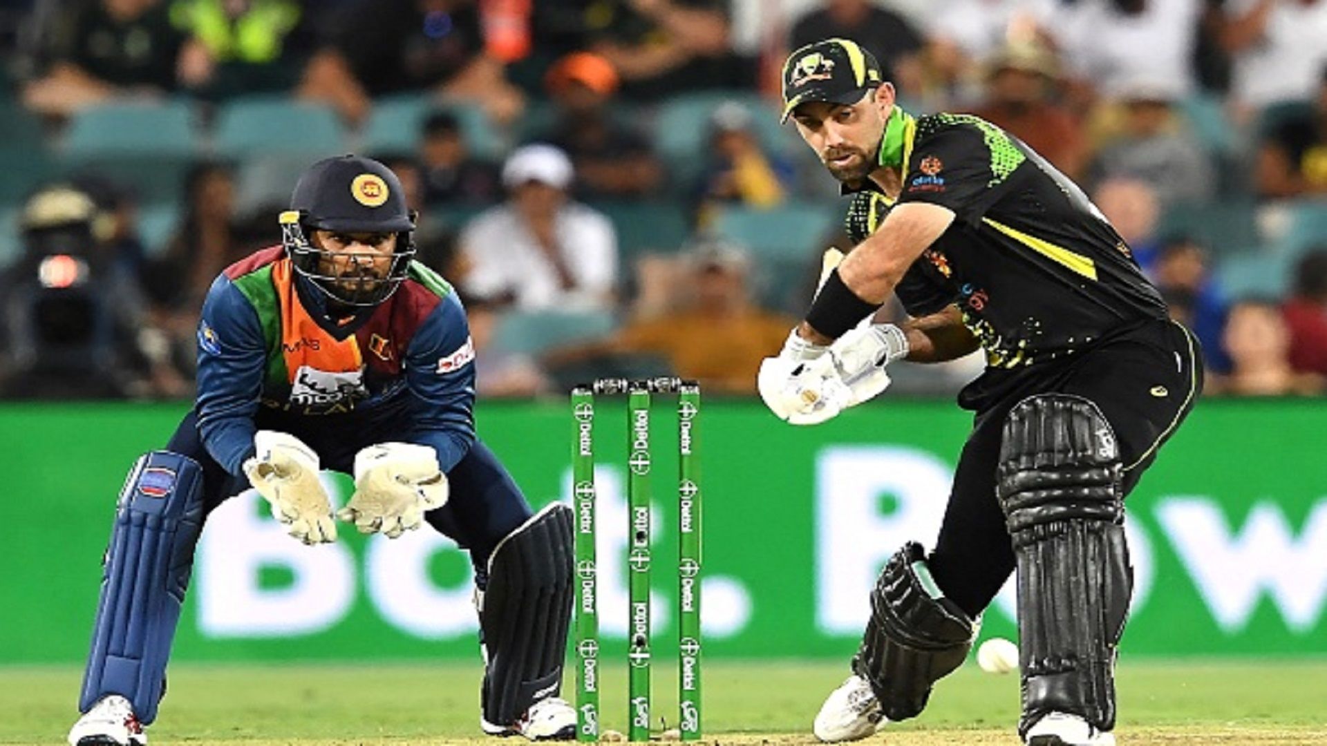 AUS vs SL : ऑस्ट्रेलिया ने श्रीलंका को चौथे टी20 में चटाई धूल, मैक्सवेल की धीमी पारी से हैरान हुए फैंस!