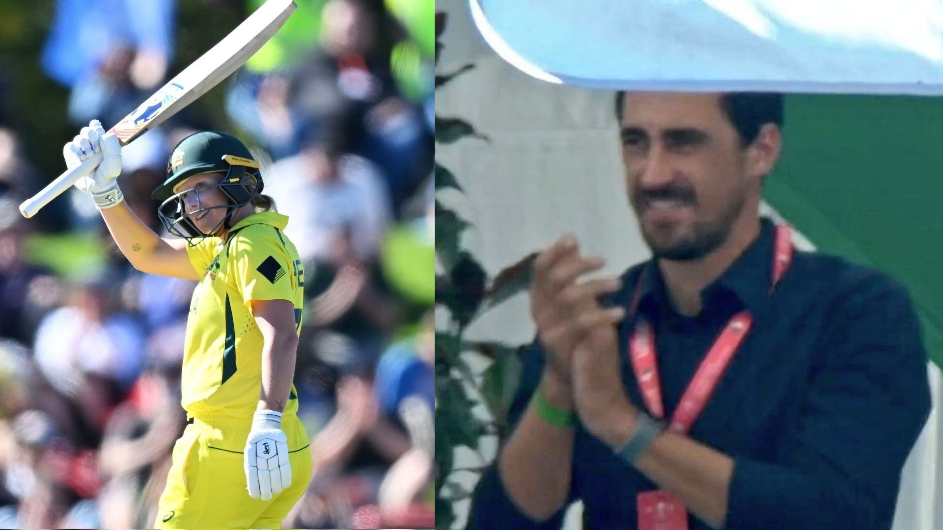 Women's World Cup: पत्नी का फाइनल मुकाबला देखने पहुंचे मिचेल स्टार्क, हीली ने तोहफे में दी 170 रन की रिकॉर्ड पारी