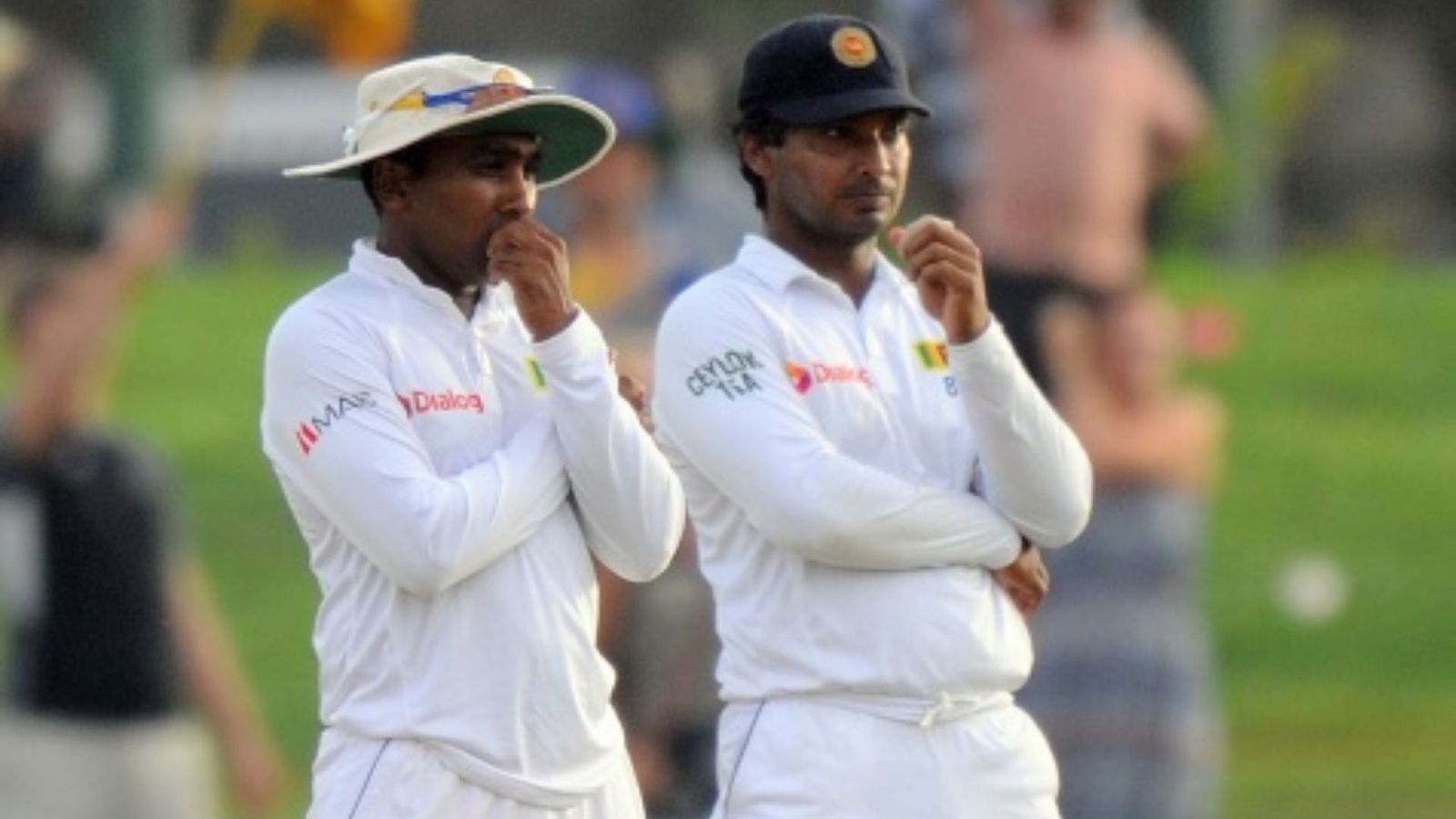 आर्थिक संकट से जूझ रहे श्रीलंका के हालात पर पूर्व क्रिकेटर्स ने जताई चिंता, जयवर्धने- संगकारा ने कहा- देश को बर्बाद... आर्थिक संकट से जूझ रहे श्रीलंका के हालात पर पूर्व क्रिकेटर्स ने जताई चिंता, जयवर्धने- संगकारा ने कहा- देश को बर्बाद...