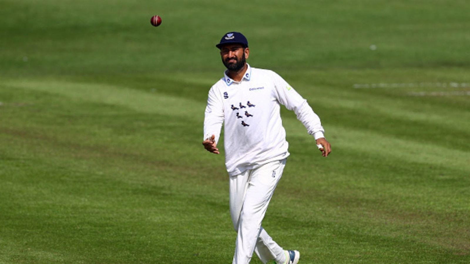 दोहरे शतक के बाद चेतेश्वर पुजारा ने जड़ी एक और सेंचुरी, लीच के कहर के बीच बचाई टीम की इज्जत दोहरे शतक के बाद चेतेश्वर पुजारा ने जड़ी एक और सेंचुरी, लीच के कहर के बीच बचाई टीम की इज्जत