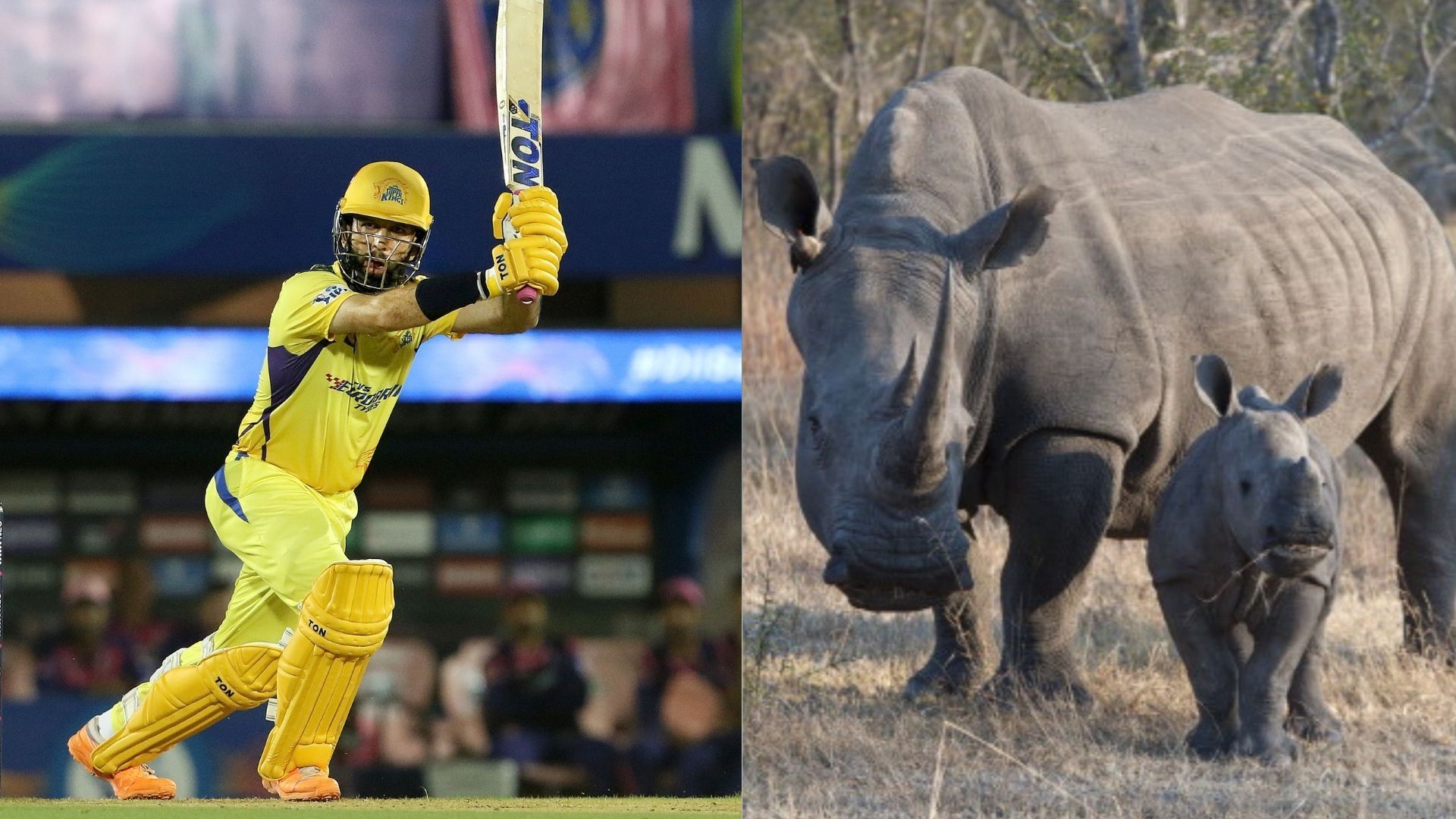 IPL 2022 : मोईन अली के चौके से गैंडों को लाखों रुपये का फायदा, जानिए LIVE मैच में ऐसा क्या हुआ