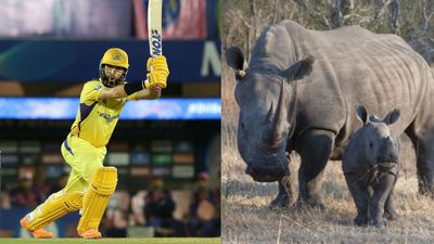 IPL 2022 : मोईन अली के चौके से गैंडों को लाखों रुपये का फायदा, जानिए LIVE मैच में ऐसा क्या हुआ SportsTak Hindi