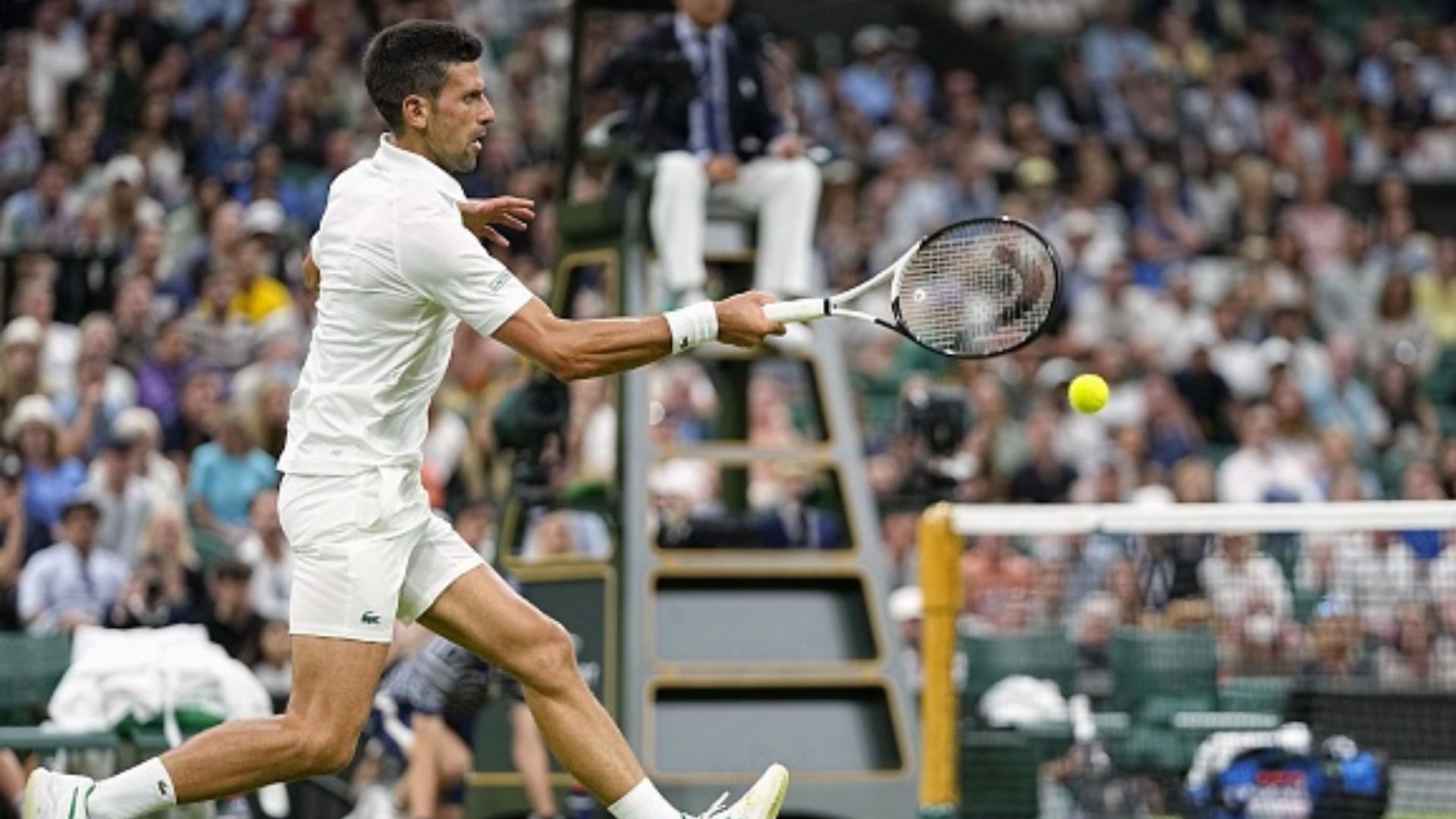 Wimbledon 2022: कर्फ्यू से ठीक पहले टिम वैन को मात देकर विंबलडन के 13वें क्वार्टरफाइनल में पहुंचे जोकोविच