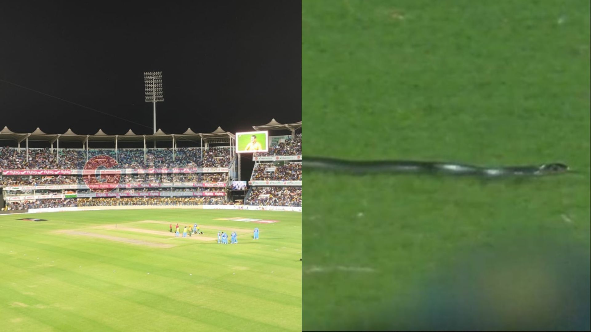 Ind vs SA, 2nd T20I : पहले सांप फिर खराब रोशनी बनी जी का जंजाल, दो बार रुका गुवाहाटी मैच
