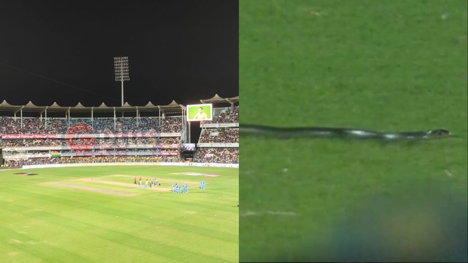 Ind vs SA, 2nd T20I : पहले सांप फिर खराब रोशनी बनी जी का जंजाल, दो बार रुका गुवाहाटी मैच Ind vs SA, 2nd T20I : पहले सांप फिर खराब रोशनी बनी जी का जंजाल, दो बार रुका गुवाहाटी मैच