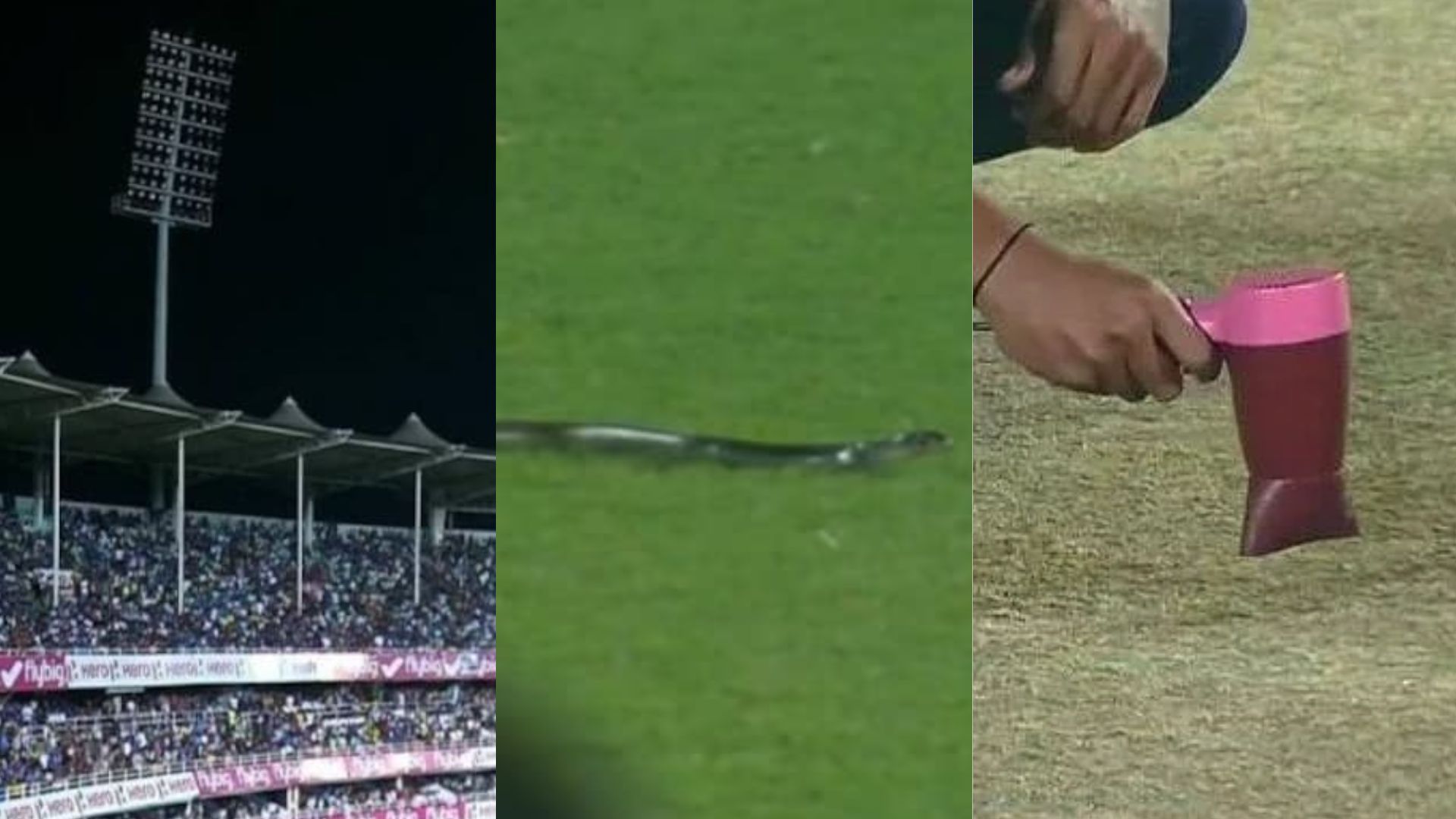 गुवाहाटी में भारतीय क्रिकेट की जग हंसाई, हेयर ड्रायर, स्टीम आयरन से मैदान सुखाने के बाद अब सांप-लाइट ने बनाया मजाक