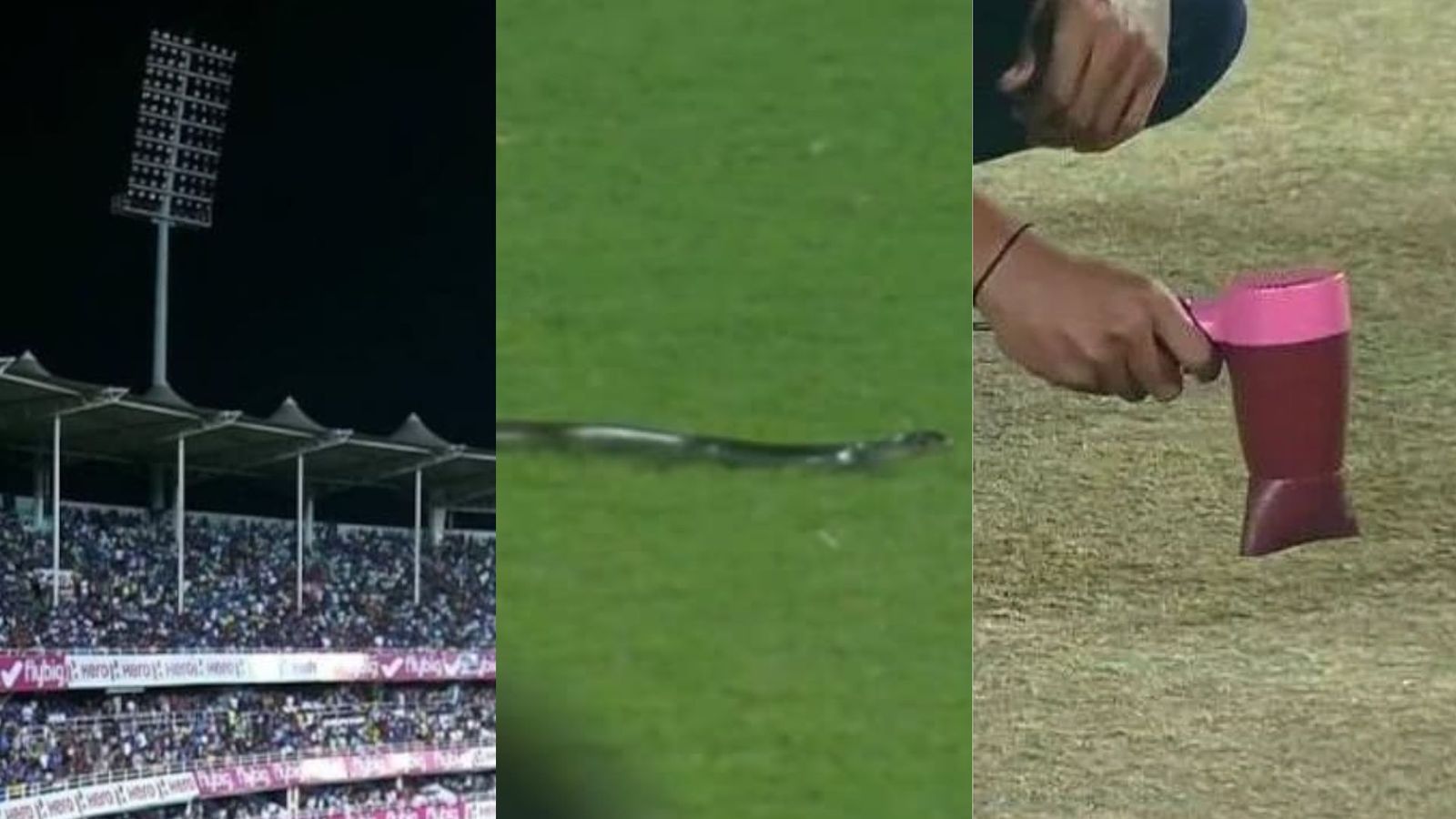 गुवाहाटी में भारतीय क्रिकेट की जग हंसाई, हेयर ड्रायर, स्टीम आयरन से मैदान सुखाने के बाद अब सांप-लाइट ने बनाया मजाक गुवाहाटी में भारतीय क्रिकेट की जग हंसाई, हेयर ड्रायर, स्टीम आयरन से मैदान सुखाने के बाद अब सांप-लाइट ने बनाया मजाक