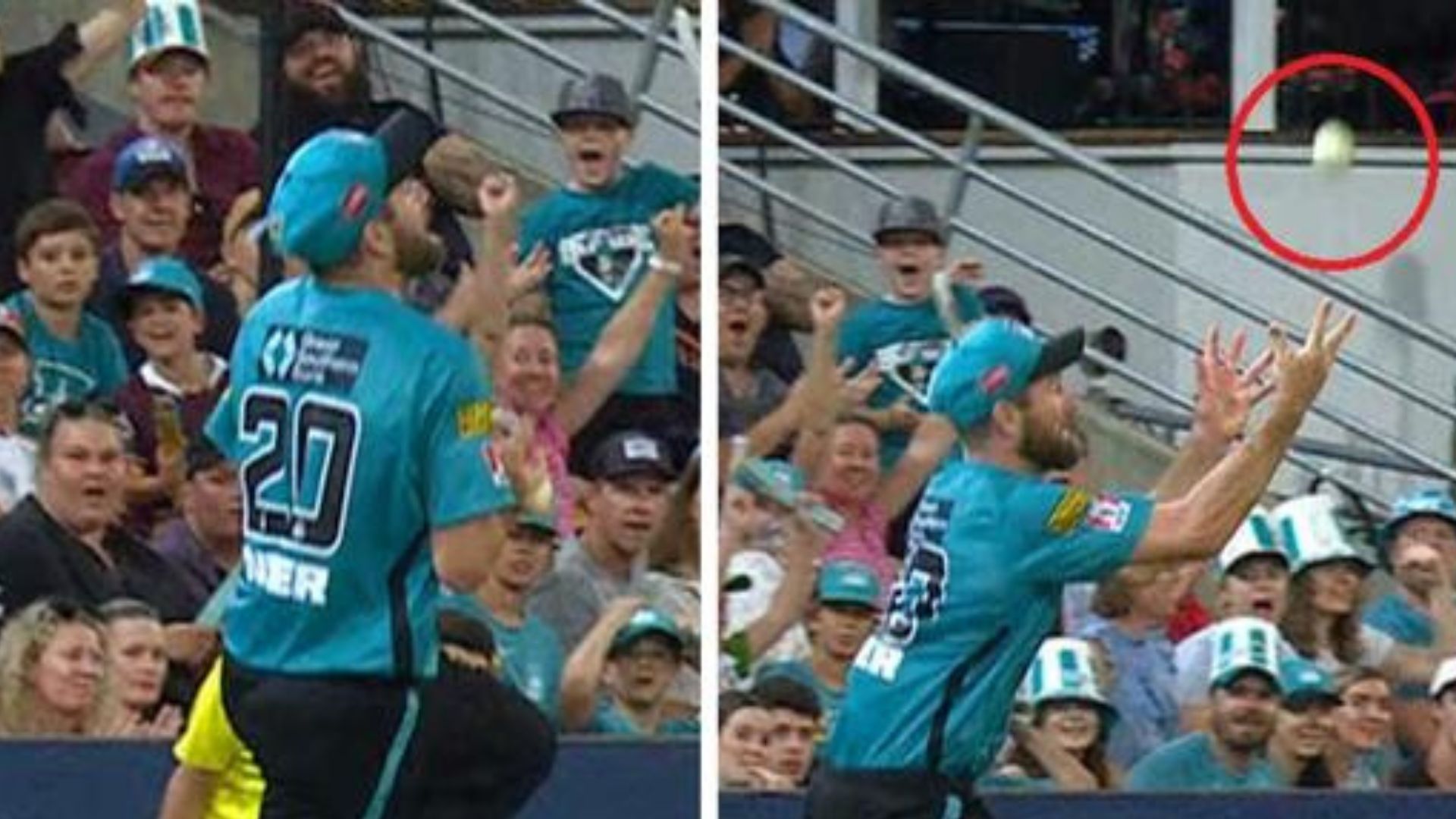 BBL में माइकल नेसर के कैच पर हुआ विवाद, दो बार हवा में कूद लपका कैच, फैंस बोले- नियम बदलो