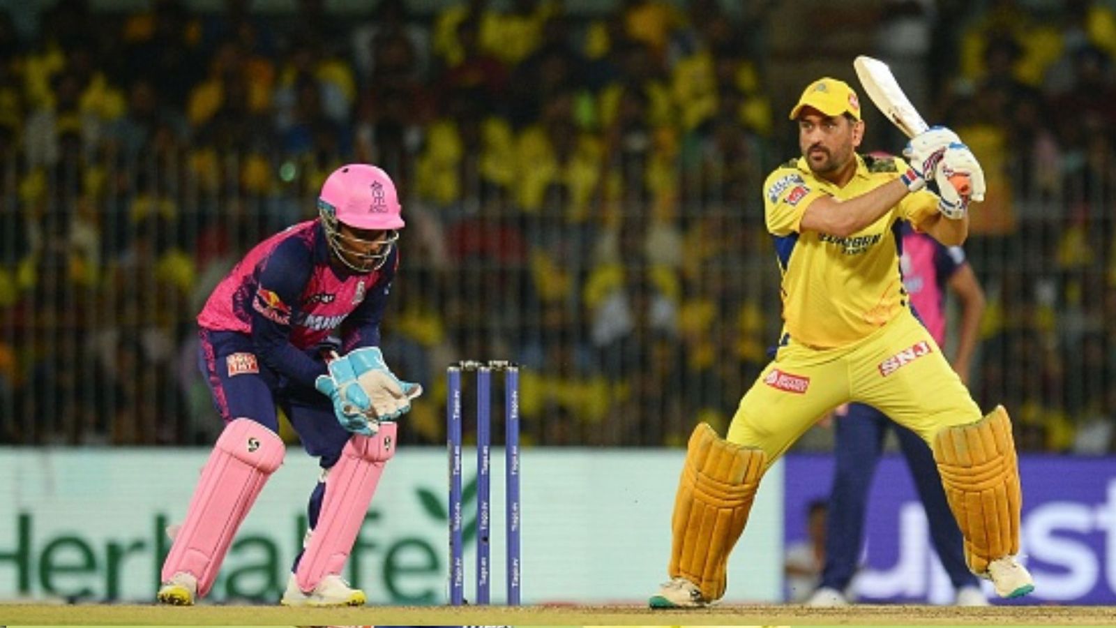 CSK vs RR : धोनी के छक्के देख चकरा गया था संजू सैमसन का माथा, कहा - 'रिसर्च, डाटा व प्लान सब धरा रह गया' CSK vs RR : धोनी के छक्के देख चकरा गया था संजू सैमसन का माथा, कहा - 'रिसर्च, डाटा व प्लान सब धरा रह गया'