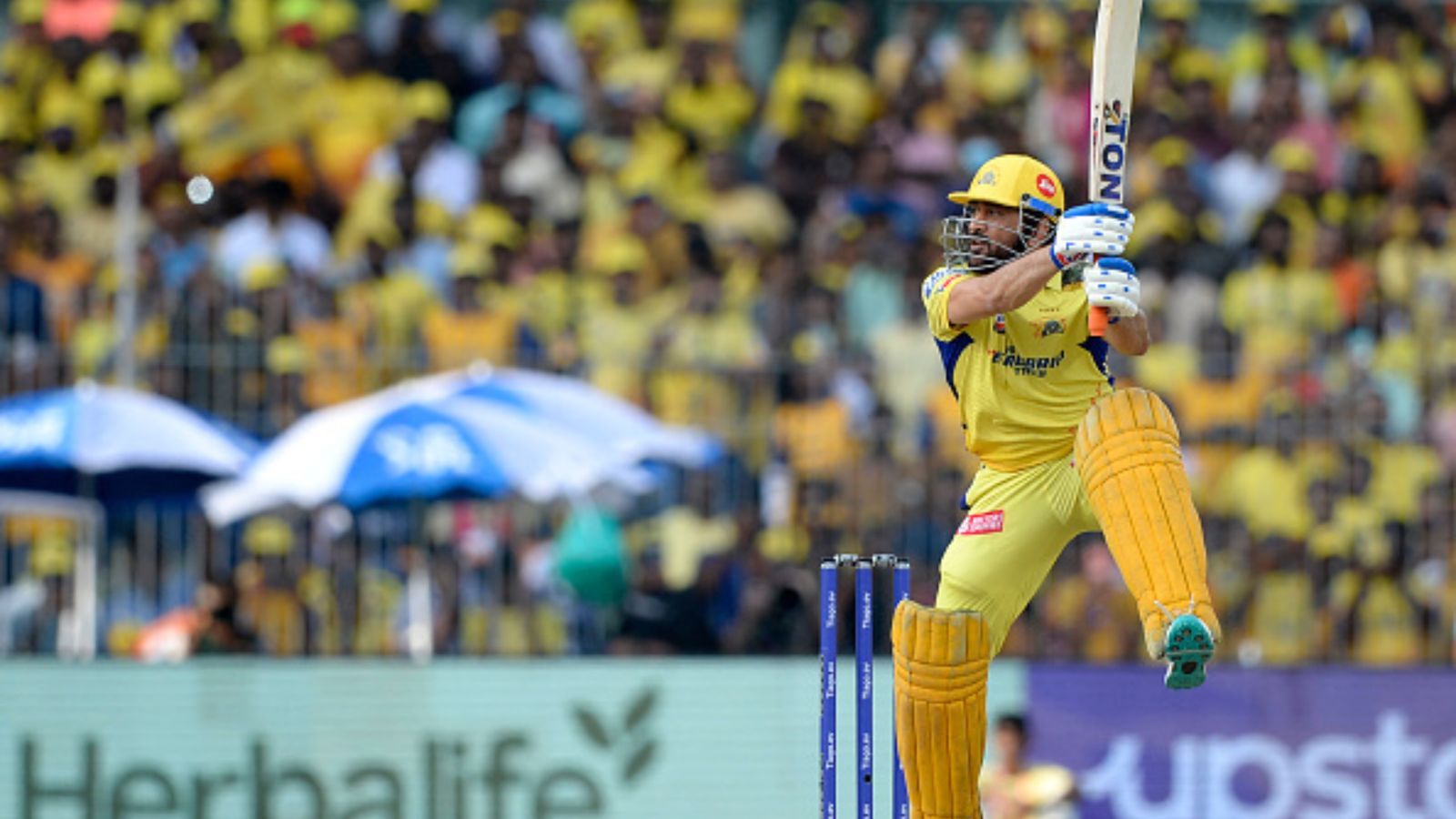 एमएस धोनी ने फिर आखिरी ओवर में बरसाए छक्के, IPL का सबसे महंगा खिलाड़ी बना निशाना, झूम उठा चेपॉक, देखिए Video एमएस धोनी ने फिर आखिरी ओवर में बरसाए छक्के, IPL का सबसे महंगा खिलाड़ी बना निशाना, झूम उठा चेपॉक, देखिए Video