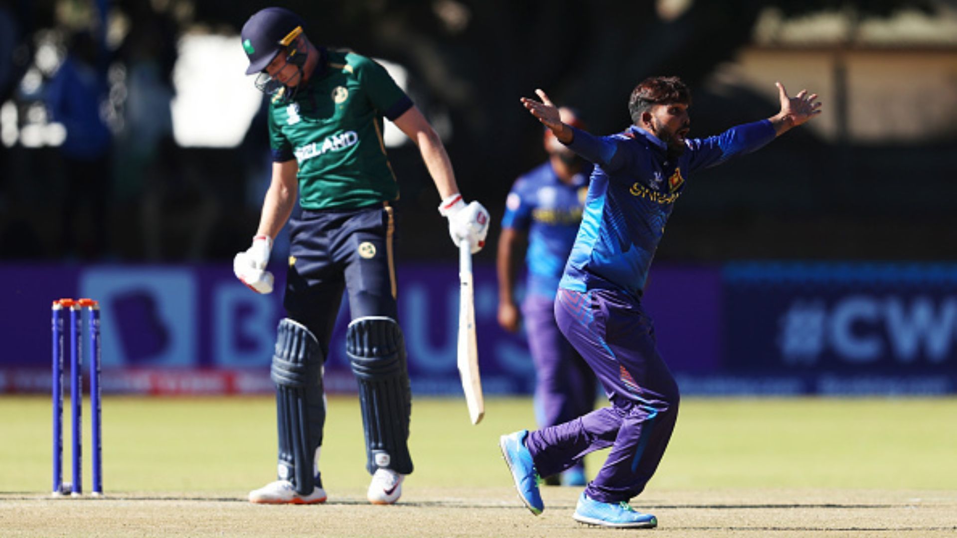 WC 2023, Qualifier : करुणारत्ने के शतक और हसरंगा के 'पंजे' से श्रीलंका ने आयरलैंड को 133 रनों से हराया, स्कॉटलैंड ने ओमान को दी मात