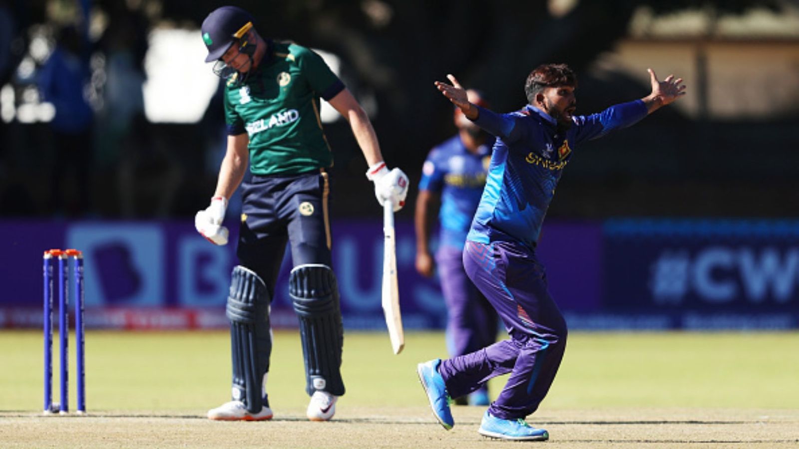 WC 2023, Qualifier : करुणारत्ने के शतक और हसरंगा के 'पंजे' से श्रीलंका ने आयरलैंड को 133 रनों से हराया, स्कॉटलैंड ने ओमान को दी मात WC 2023, Qualifier : करुणारत्ने के शतक और हसरंगा के 'पंजे' से श्रीलंका ने आयरलैंड को 133 रनों से हराया, स्कॉटलैंड ने ओमान को दी मात