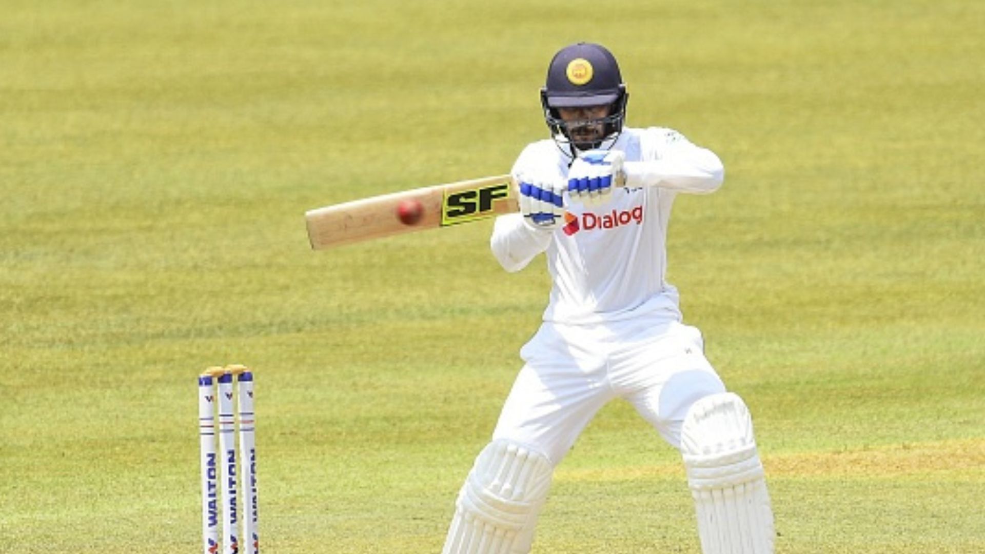 SL vs Pak, 1st Test : 54 रन पर गिरे चार 4 विकेट, धनंजय ने फिर 94 रनों की पारी से पाकिस्तान को धकेला, पहले दिन श्रीलंका ने की वापसी