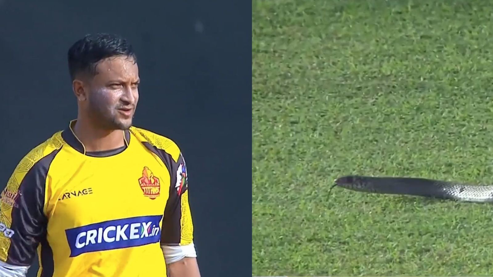 LPL, Snake : लंका प्रीमियर लीग के दौरान बीच मैदान सांप से मची हलचल, फिर लगा सुपर ओवर, रोमांचक मैच में जीती गॉल, देखें Video  LPL, Snake : लंका प्रीमियर लीग के दौरान बीच मैदान सांप से मची हलचल, फिर लगा सुपर ओवर, रोमांचक मैच में जीती गॉल, देखें Video