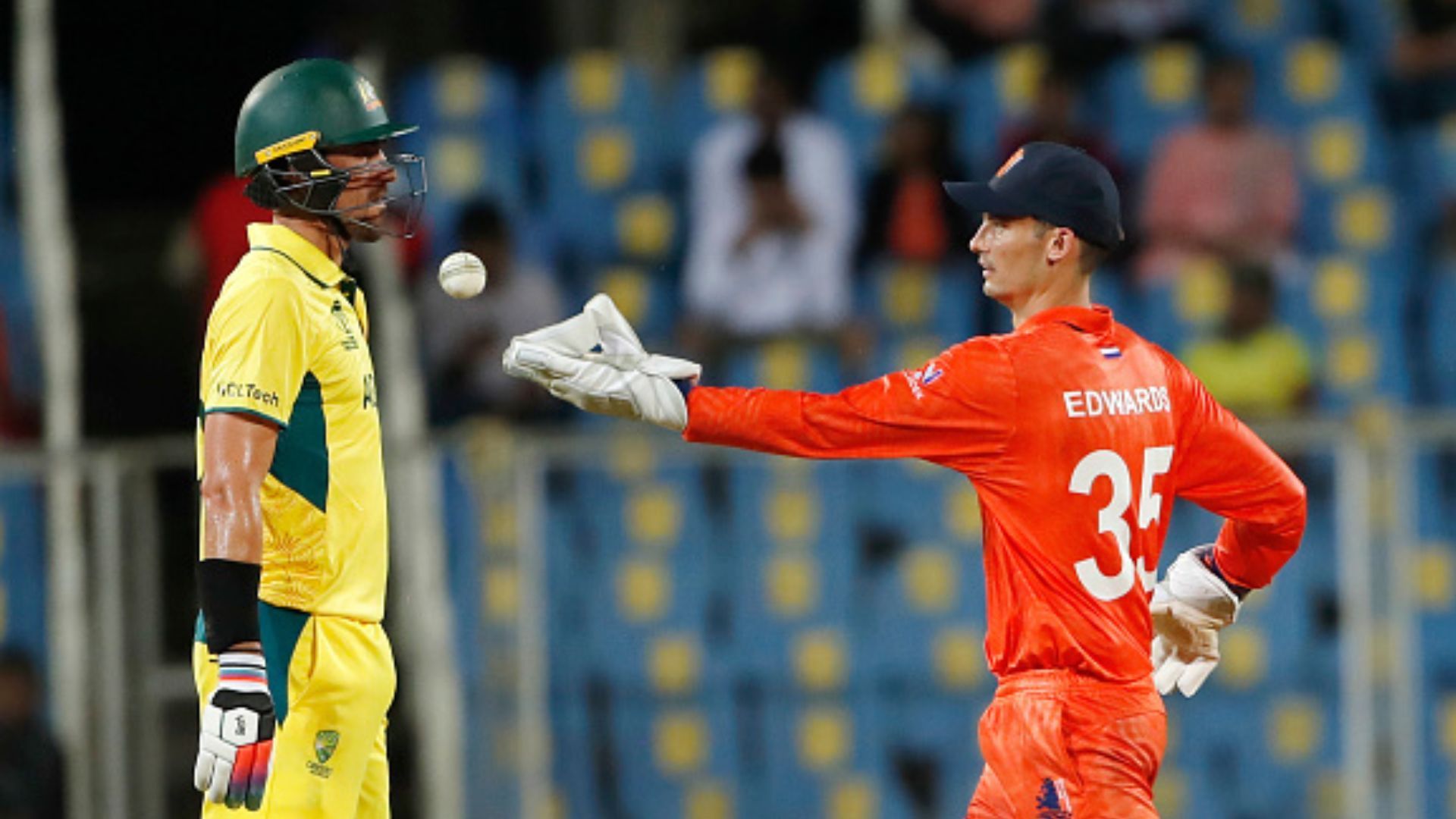 World Cup 2023 : स्टार्क की हैट्रिक पर बारिश ने फेरा पानी, नीदरलैंड्स के आगे जीत से दूर रह गया ऑस्ट्रेलिया 