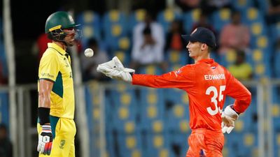 World Cup 2023 : स्टार्क की हैट्रिक पर बारिश ने फेरा पानी, नीदरलैंड्स के आगे जीत से दूर रह गया ऑस्ट्रेलिया  मिचेल स्टार्क