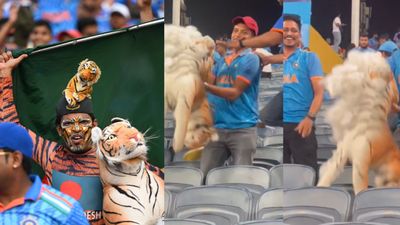IND vs BAN मैच में भारतीय दर्शकों की बदमाशी, बांग्लादेश सुपर फैन से बदसलूकी, 'टाइगर' को पटका, फेंका, बिखेरा, देखिए Video टाइगर शोएब (बाएं) बांग्लादेश के सुपर फैन हैं.
