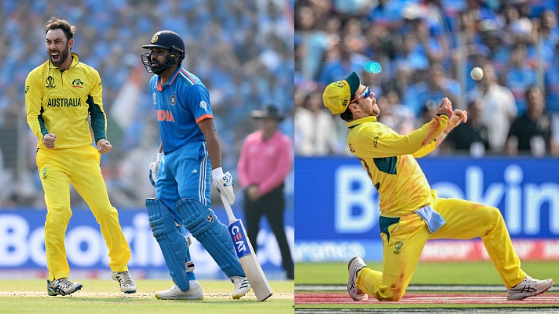 IND vs AUS: ट्रेविस हेड ने लिया रोहित शर्मा का हैरतअंगेज कैच! कैच ऑफ द टूर्नामेंट में कीवी खिलाड़ी को भी छोड़ा पीछे, VIDEO