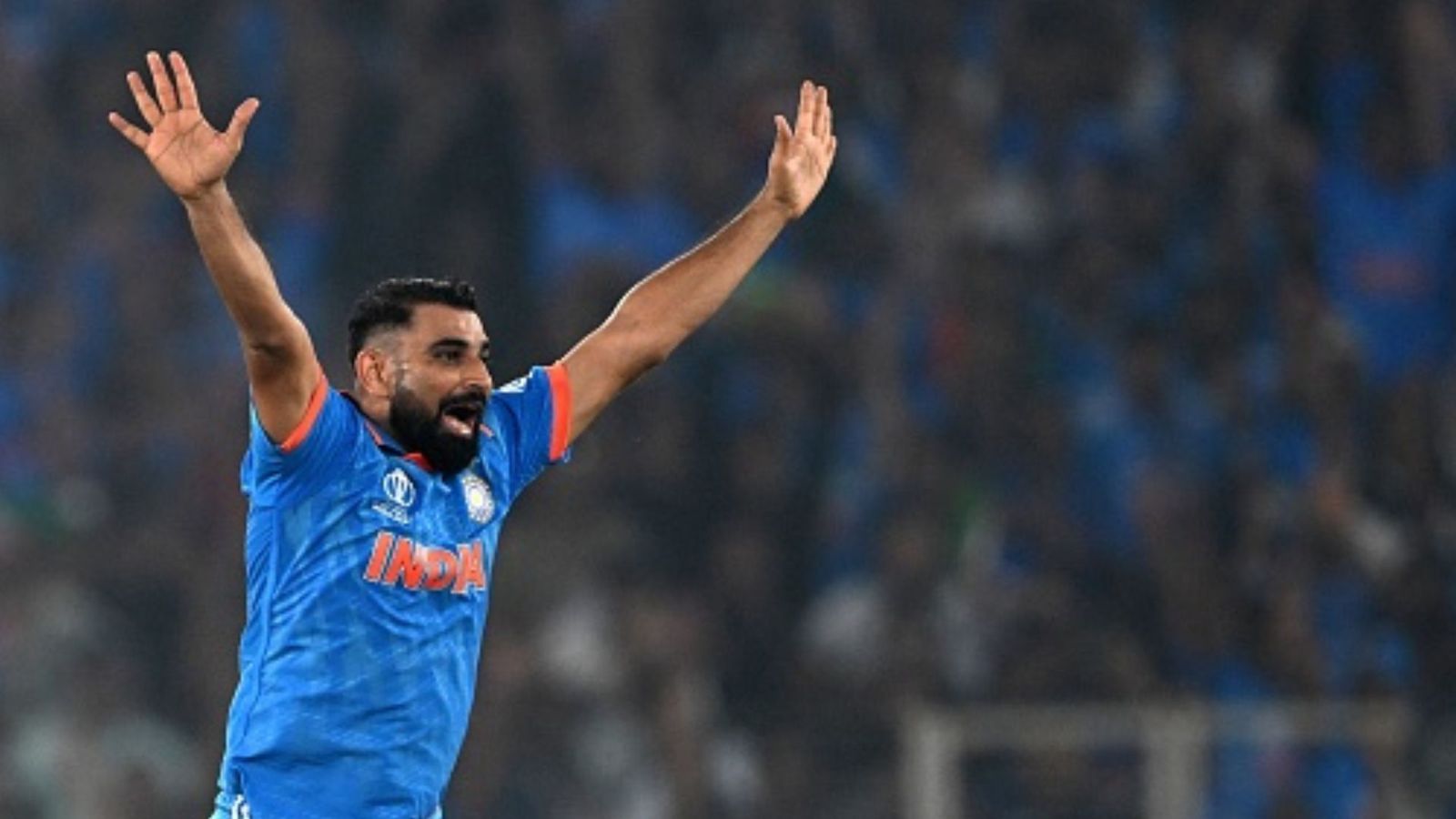 World Cup 2023 के नंबर वन गेंदबाज बने शमी, लेकिन भारत को नहीं दिला सके ट्रॉफी World Cup 2023 के नंबर वन गेंदबाज बने शमी, लेकिन भारत को नहीं दिला सके ट्रॉफी