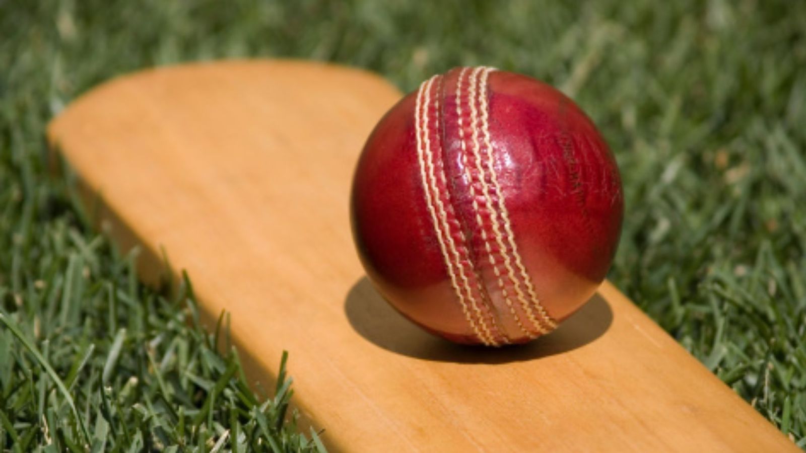 रोहित शर्मा ने गेंदबाजी में बरपाया कहर, पांच विकेट लेकर 130 पर विरोधी टीम की पारी का किया सफाया रोहित शर्मा ने गेंदबाजी में बरपाया कहर, पांच विकेट लेकर 130 पर विरोधी टीम की पारी का किया सफाया