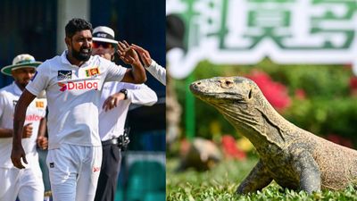SL vs AFG: टेस्ट मैच के बीच में मैदान पर आ घुसी बड़ी छिपकली, इससे पहले सांप के चलते रोकना पड़ा था मैच, VIDEO मैच में घुसी बड़ी छिपकली