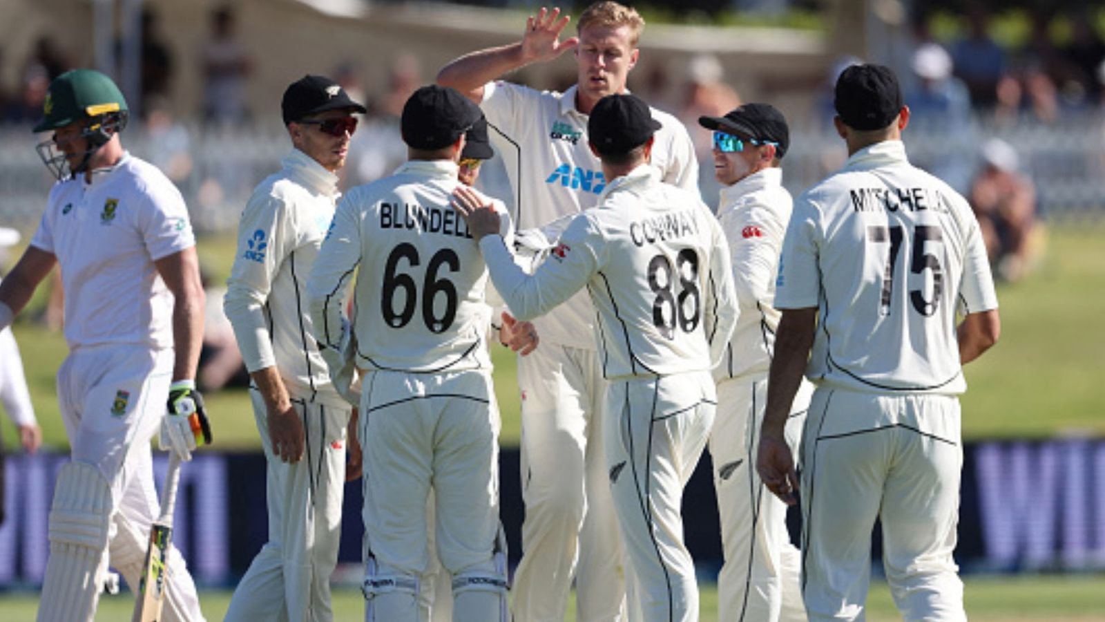 NZ vs SA: केन विलियमसन- रचिन ने न्यूजीलैंड को दिलाई पहले टेस्ट में 281 रन से जीत, स्पिनर्स ने चटकाए 17 विकेट, फ्लॉप रहे अफ्रीकी बल्लेबाज NZ vs SA: केन विलियमसन- रचिन ने न्यूजीलैंड को दिलाई पहले टेस्ट में 281 रन से जीत, स्पिनर्स ने चटकाए 17 विकेट, फ्लॉप रहे अफ्रीकी बल्लेबाज