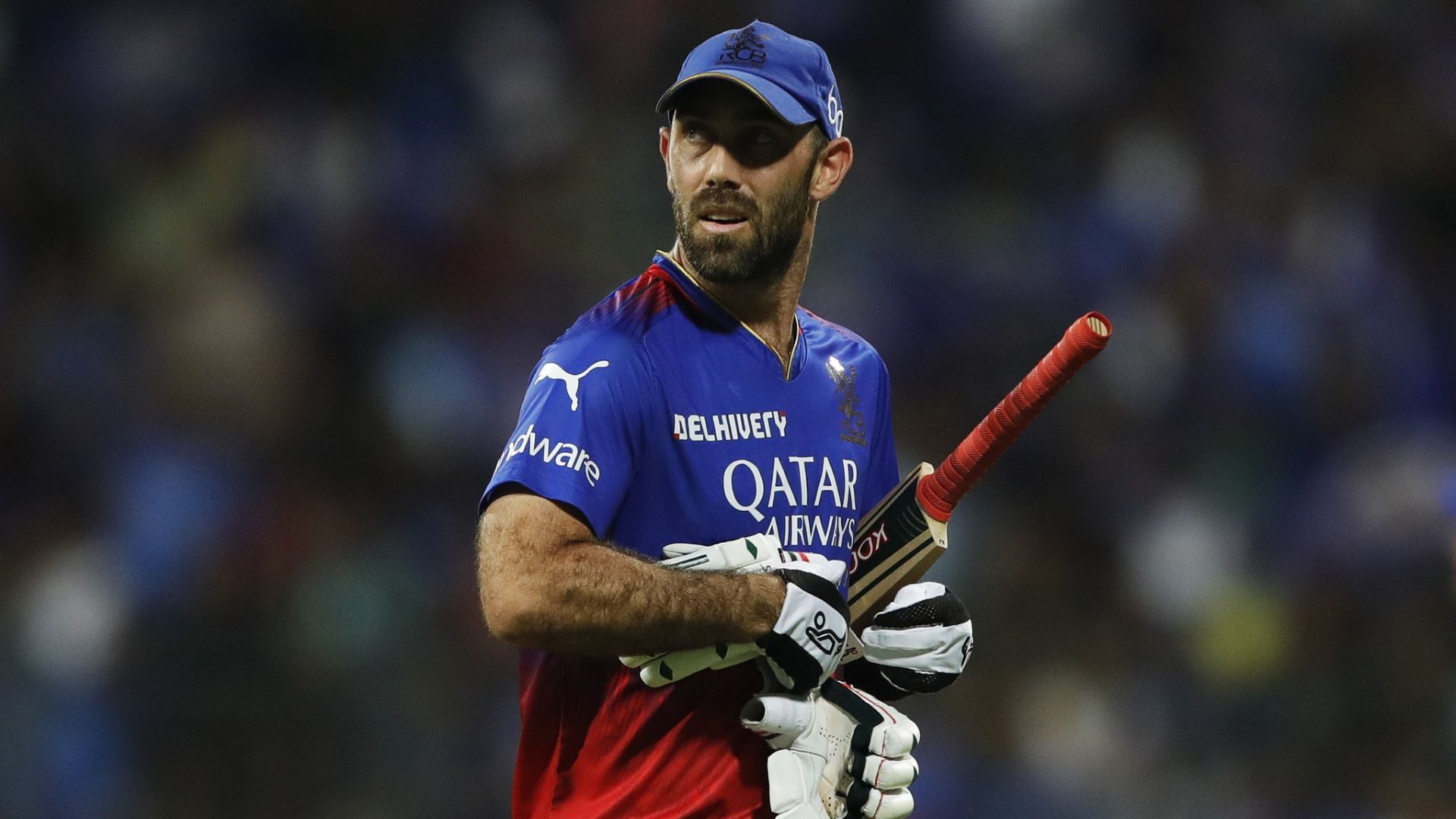 'RCB का खिलाड़ी होने से...', ग्लेन मैक्सवेल ने IPL 2024 के बीच लिया ब्रेक तो रिकी पोंटिंग ने बता दी सच्चाई, जानिए क्या कहा