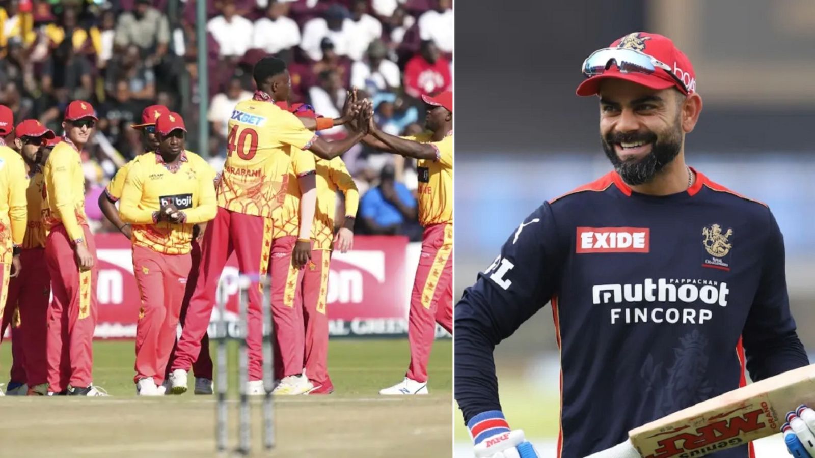 RCB को आईपीएल चैंपियन बनाने आएगा ज़िम्बाब्वे का धाकड़ खिलाड़ी! भारत के स्टार्स का करता है शिकार, कोहली की हाँ का है इंतज़ार RCB को आईपीएल चैंपियन बनाने आएगा ज़िम्बाब्वे का धाकड़ खिलाड़ी! भारत के स्टार्स का करता है शिकार, कोहली की हाँ का है इंतज़ार