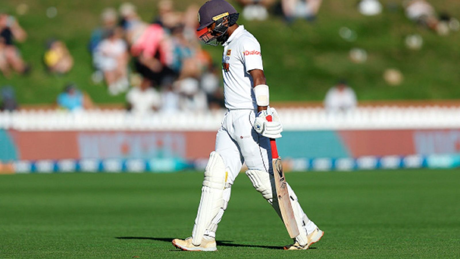 SL vs NZ: धाकड़ खिलाड़ी की एक साल बाद टेस्ट टीम में वापसी, दो मैचों की सीरीज के लिए 16 खिलाड़ियों के स्क्वॉड में मिली जगह SL vs NZ: धाकड़ खिलाड़ी की एक साल बाद टेस्ट टीम में वापसी, दो मैचों की सीरीज के लिए 16 खिलाड़ियों के स्क्वॉड में मिली जगह