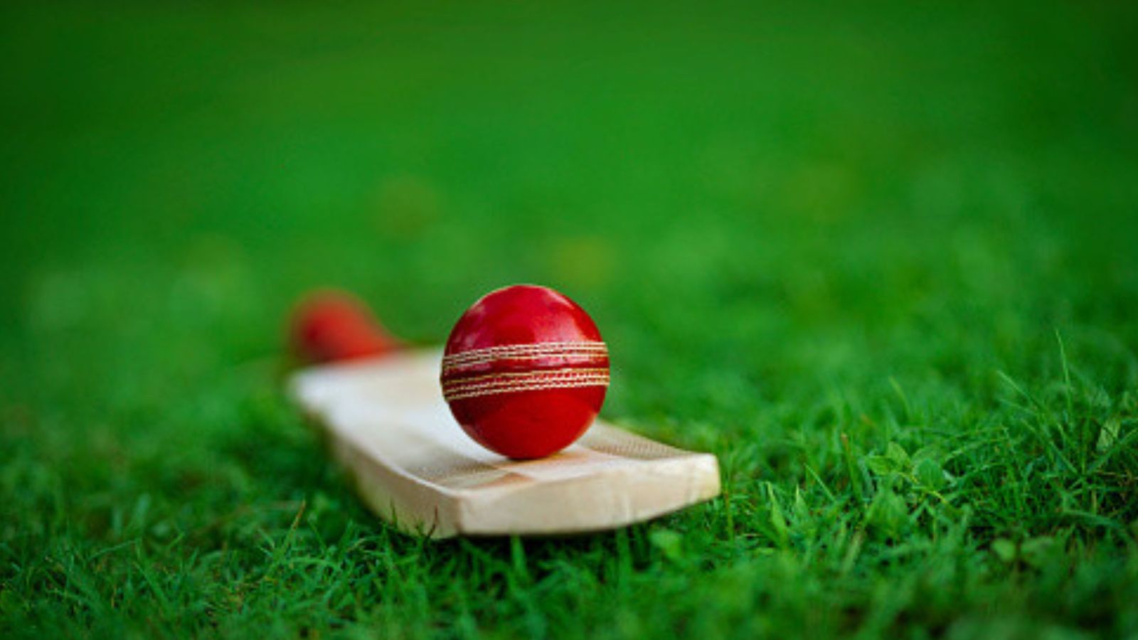 18 साल के भारतीय खिलाड़ी ने 498 रन की पारी खेल मचाया तहलका, 86 चौके और 7 छक्के जड़ने के बाद कहा- मुझे किसी ने... 18 साल के भारतीय खिलाड़ी ने 498 रन की पारी खेल मचाया तहलका, 86 चौके और 7 छक्के जड़ने के बाद कहा- मुझे किसी ने...