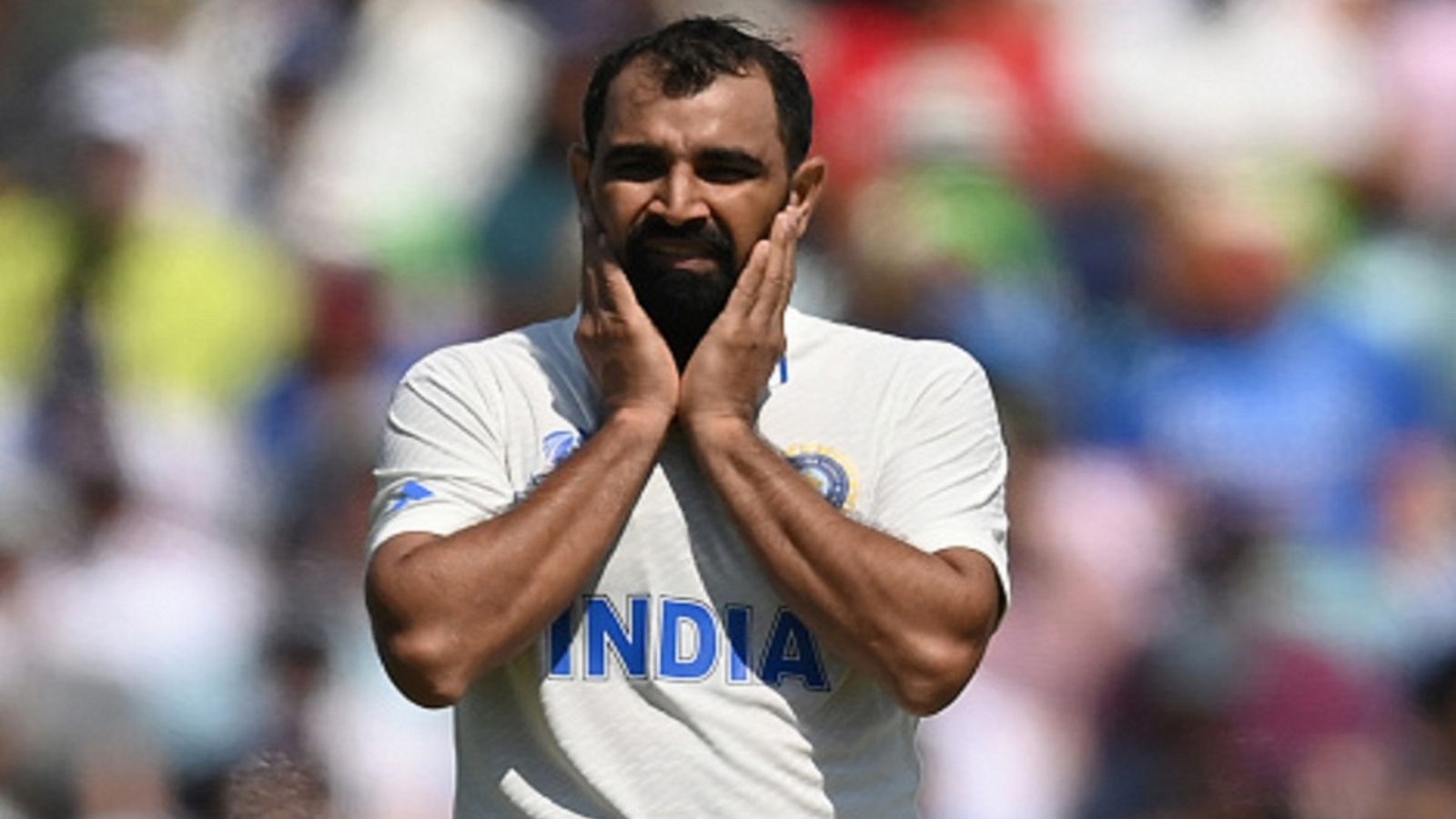 IND vs NZ: मोहम्मद शमी को न्यूजीलैंड के खिलाफ टेस्ट सीरीज के लिए भारतीय टीम में क्यों नहीं चुना गया? जानें वजह IND vs NZ: मोहम्मद शमी को न्यूजीलैंड के खिलाफ टेस्ट सीरीज के लिए भारतीय टीम में क्यों नहीं चुना गया? जानें वजह